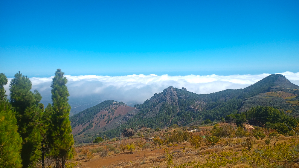 Bike tour a Pico de las nieves pico de las nieves